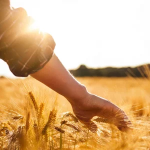 Être ou ne pas être, agriculteur? Telle est la question pour la prochaine génération